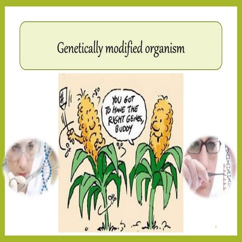 GMO, Genetically modified organisms, agricultural and horticultural crops cur...