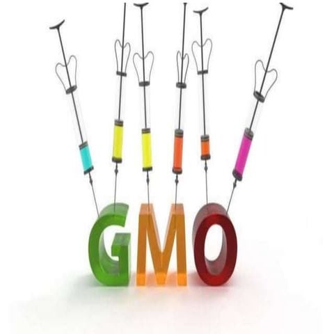 genetically modified organisms. earth and life science
