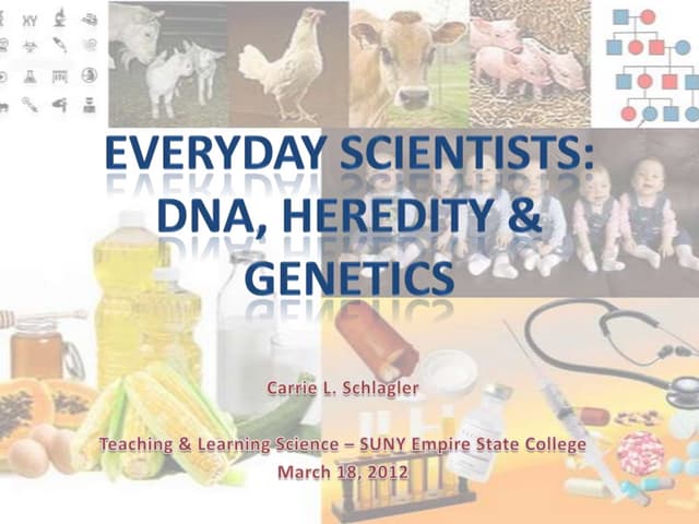 Genetically Modified Organisms (Carrie)