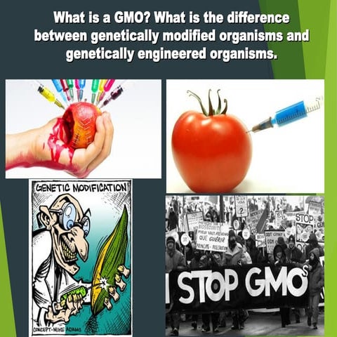 BIOTECHNOLOGY-GMO-Introduction-11-13-18.ppt