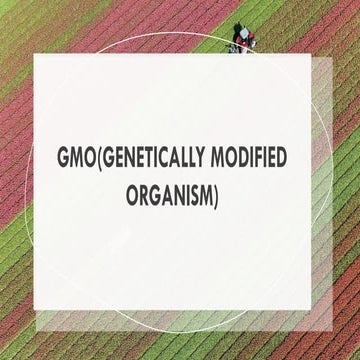GMO(Genetically Modified Organism).pptx for MS