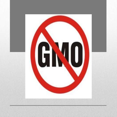 Gmo power point
