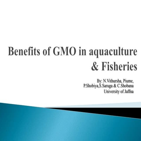 Benefits of GMO in aquaculture and fisheries