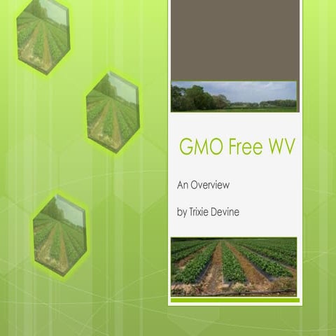 GMO presentation