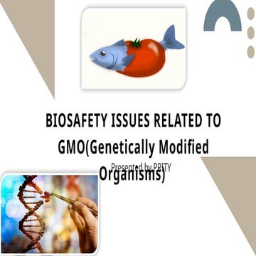 biosafety issues related to genetically modified organisms