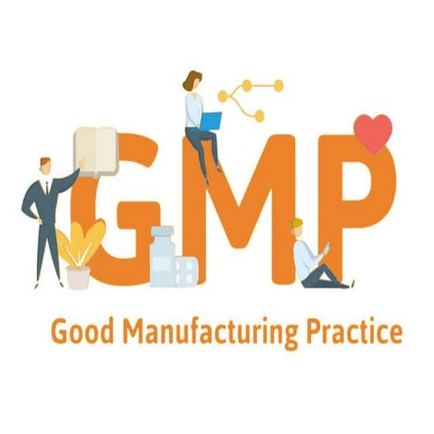 Role of GMP in Total Quality Management (TQM)