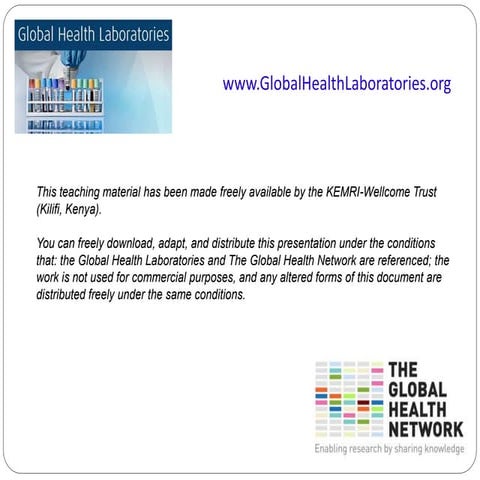 GMP_GOOD_DOCUMENTATION_PRACTICE.ppt