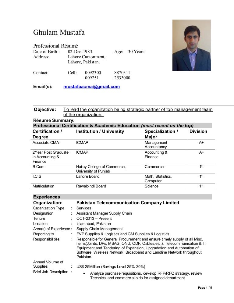 Professional Resume