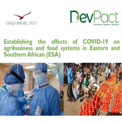 Establishing the effects of COVID-19 on agribusiness and food systems ...