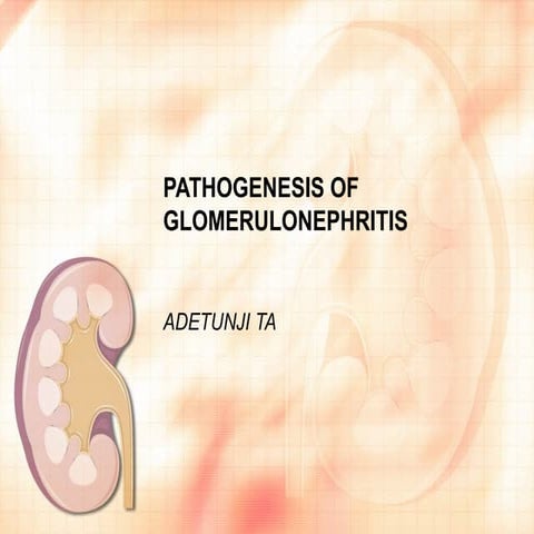 Pathogenesis of Glomerulonephritis