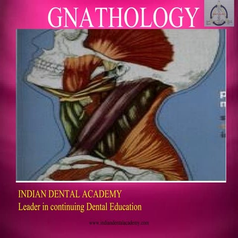 Gnathology/endodontic courses