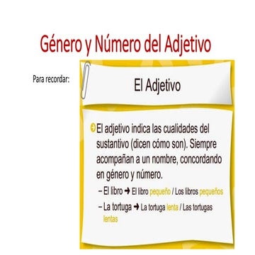 Género y número del adjetivo