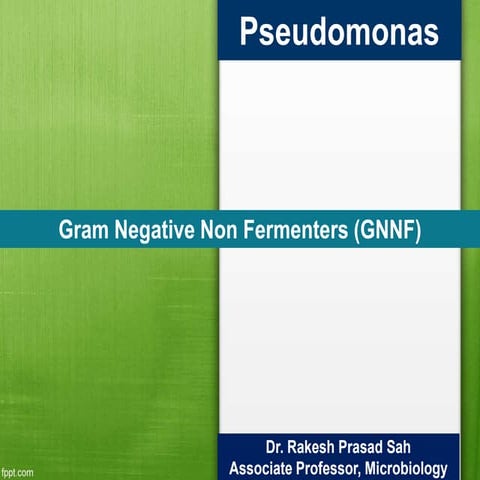 GNNF (Pseudomonas and Acinetobacter).ppt