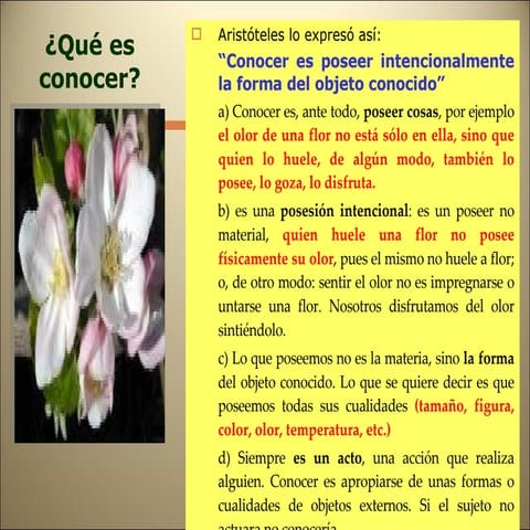 El problema del conocimiento