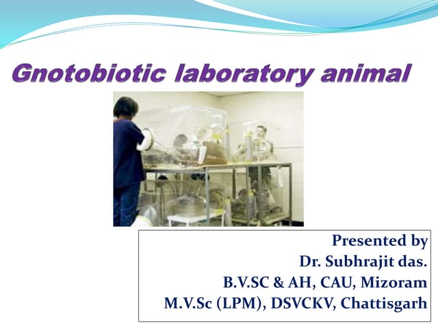 GNOTOBIOTIC ANIMALS 