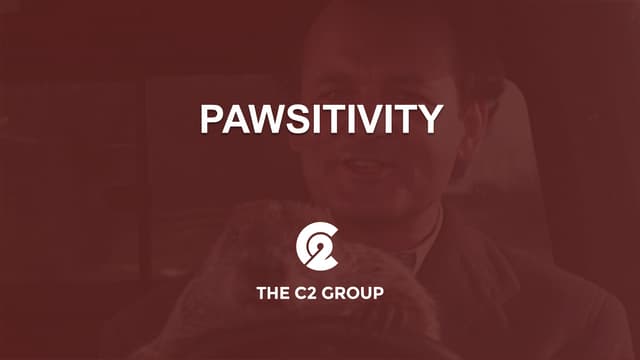 Pawsitivity 2016