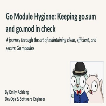 Go Module Hygiene: Keeping go.sum and go.mod in check