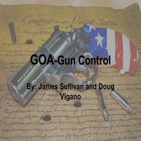 Goa Gun Control