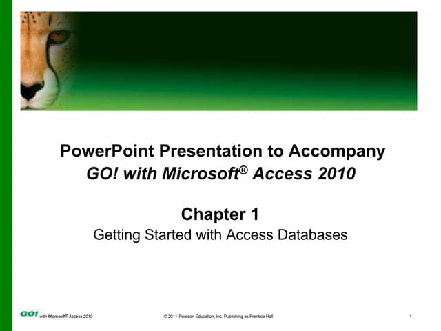 MS Access Ch 1 PPT