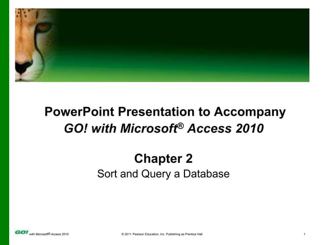 MS Access Ch 2 PPT