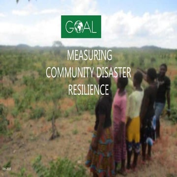 Role of United Nations development Program in disaster management | PPTX