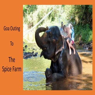 Goa Outing to Spice Farm