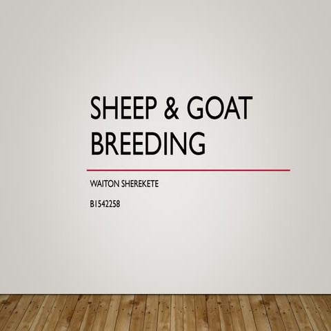 Goat and sheep breeeds and breeeding