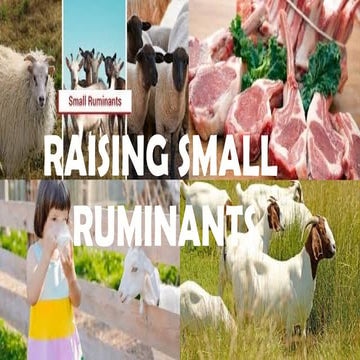 goat competitive advantages , weaknesses, business opportunity | PPTX