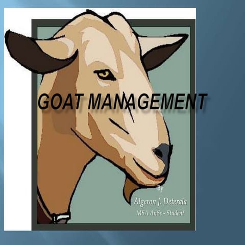 Goat management 