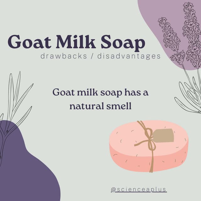 goat milk soap disadvantages.pdf
