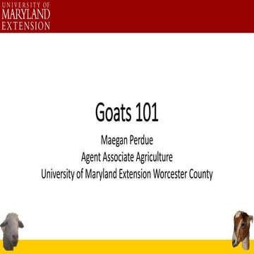 Goats 101