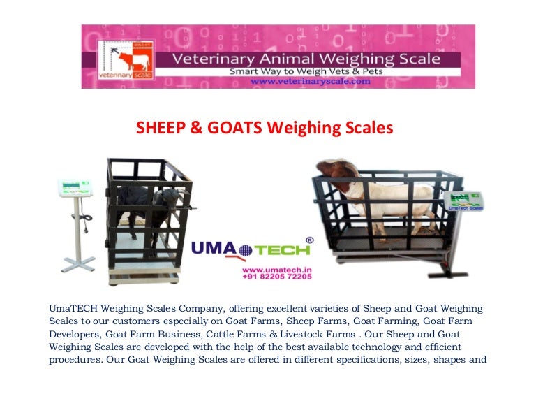 Goat weighing scales for goat farms, goat suppliers, livestock farms