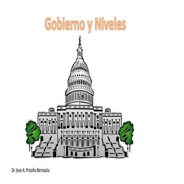 Gobierno  Niveles.pdf