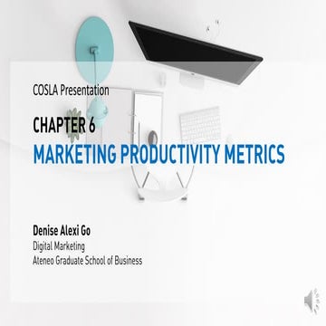 Chapter 6 - Marketing Productivity Metrics
