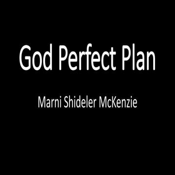 God's Perfect Plan 2.
