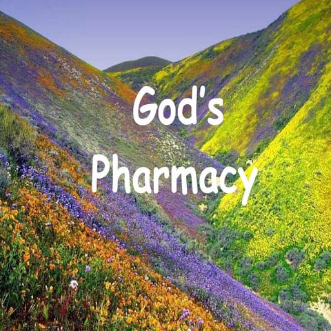 God's Pharmacy