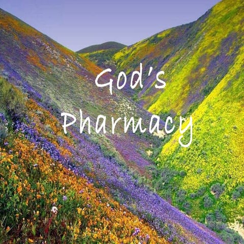 God's pharmacy