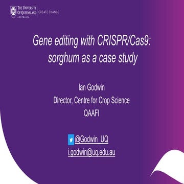 Gene editing with CRISPR/Cas9: sorghum as a case study