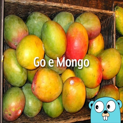 Go e MongoDB