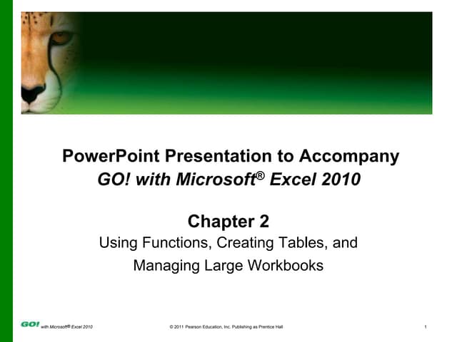MS Excel Ch 2 PPT