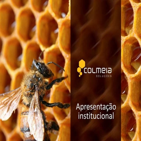 Rio Info 2015 - Salão da Inovação - Goiás - Pedro Ivo Souza Medeiros - nectar