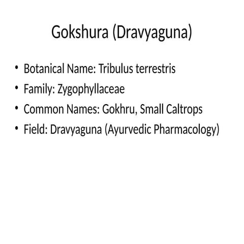 Gokhru | PPTX