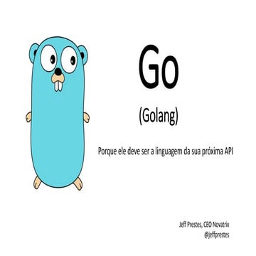Go (golang) - Porque ele deve ser a linguagem da sua próxima API
