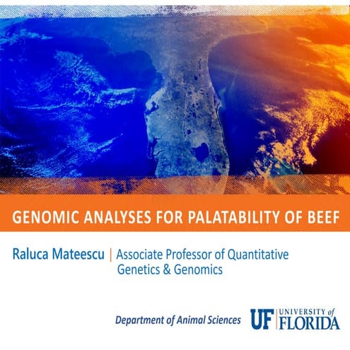 Genomic Analyses for Palatability of Beef