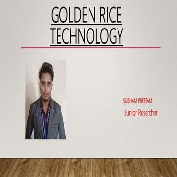 Golden rice technology
