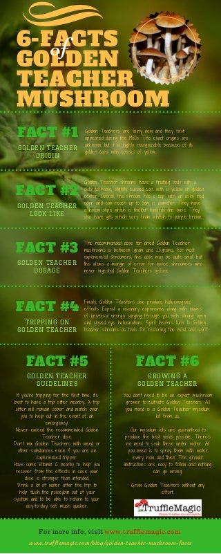 goldenteachermushroomfacts-171027144131-