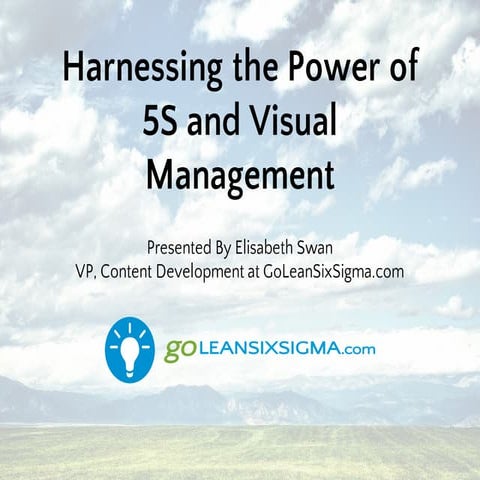 Harnessing The Power of 5S and Visual Management with GoLeanSixSigma.com