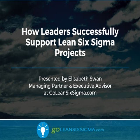 WEBINAR: How Leaders Successfully Support Lean Six Sigma Projects (Leadership)