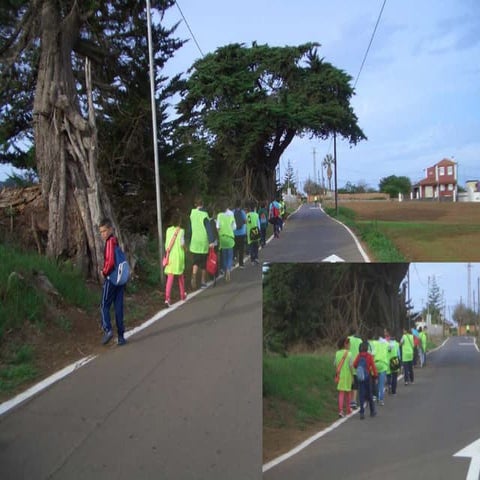 Visita al campo de golf 6º de primaria