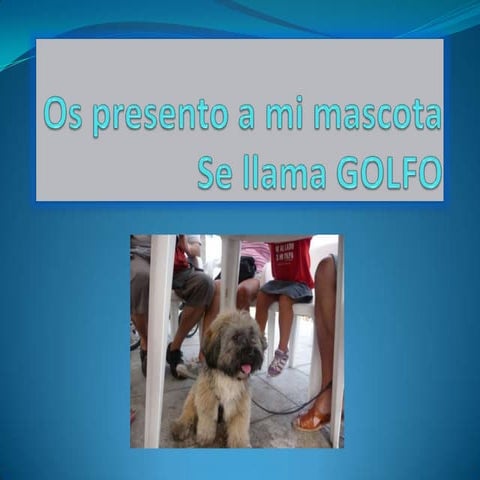 Golfo